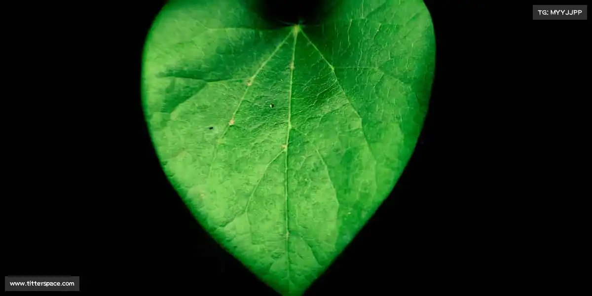 <strong>今日看瓜</strong>用影视连接你我，让共鸣在画面流转中自然发生🌊